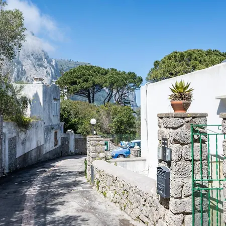 Nel Cuore Di * Capri