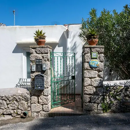Nel Cuore Di Capri